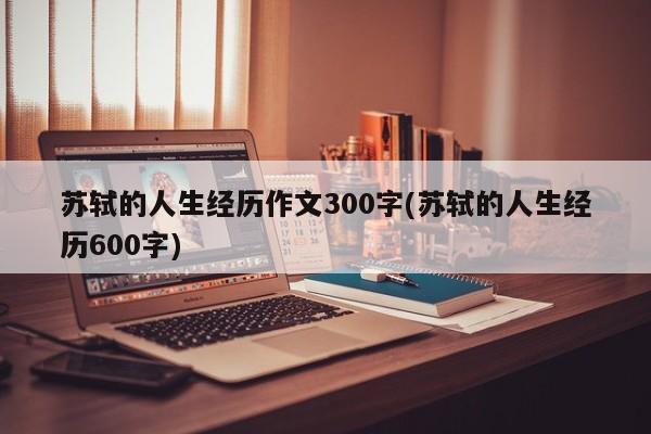 苏轼的人生经历作文300字(苏轼的人生经历600字)