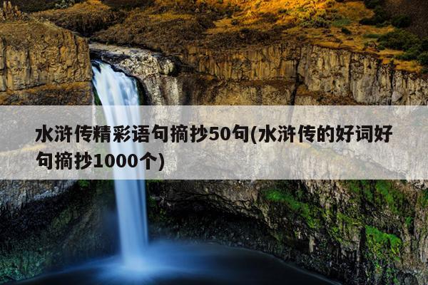 水浒传精彩语句摘抄50句(水浒传的好词好句摘抄1000个)