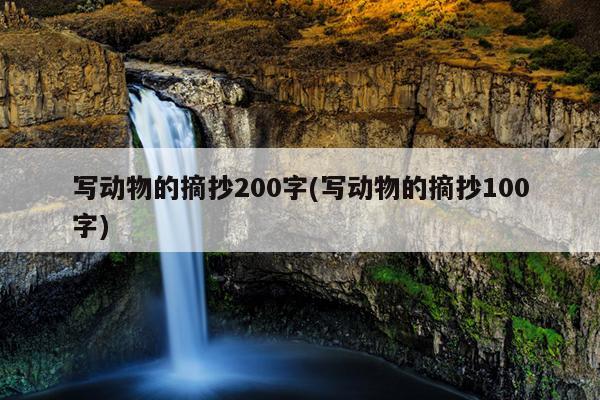 写动物的摘抄200字(写动物的摘抄100字)