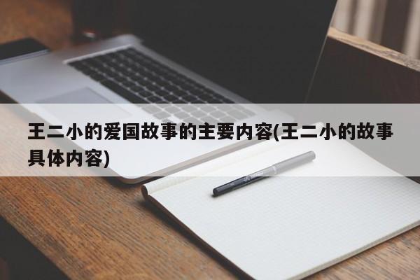 王二小的爱国故事的主要内容(王二小的故事具体内容)