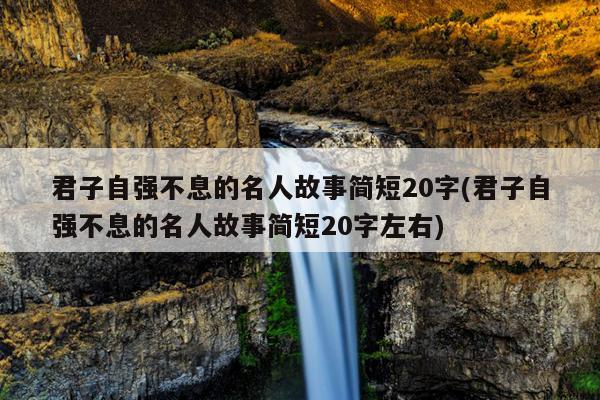 君子自强不息的名人故事简短20字(君子自强不息的名人故事简短20字左右)