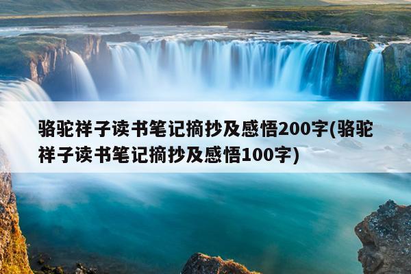 骆驼祥子读书笔记摘抄及感悟200字(骆驼祥子读书笔记摘抄及感悟100字)