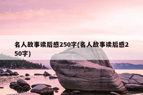 名人故事读后感250字(名人故事读后感250字)