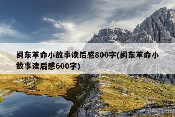 闽东革命小故事读后感800字(闽东革命小故事读后感600字)