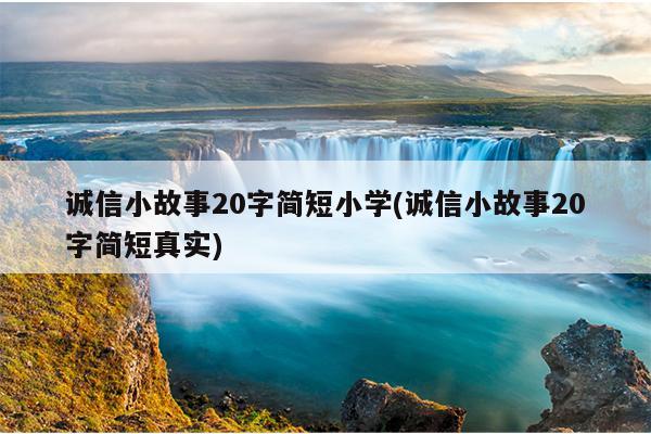 诚信小故事20字简短小学(诚信小故事20字简短真实)