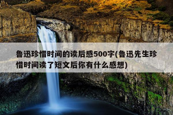 鲁迅珍惜时间的读后感500字(鲁迅先生珍惜时间读了短文后你有什么感想)