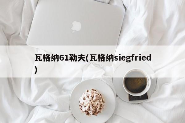 瓦格纳61勒夫(瓦格纳siegfried)