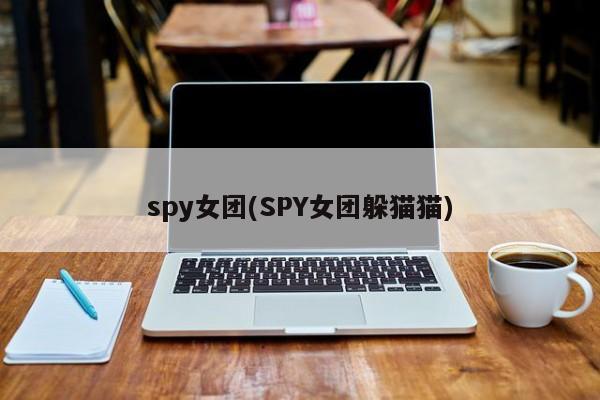 spy女团(SPY女团躲猫猫)