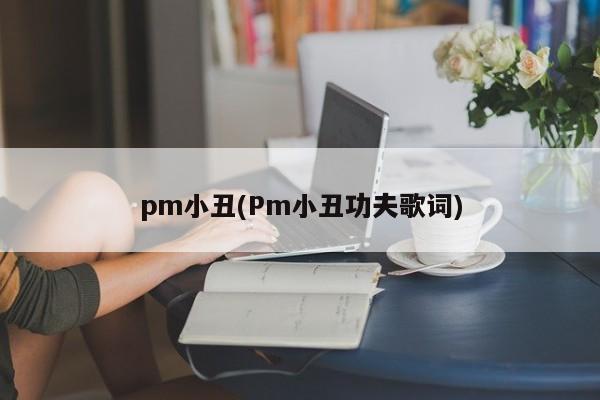 pm小丑(Pm小丑功夫歌词)