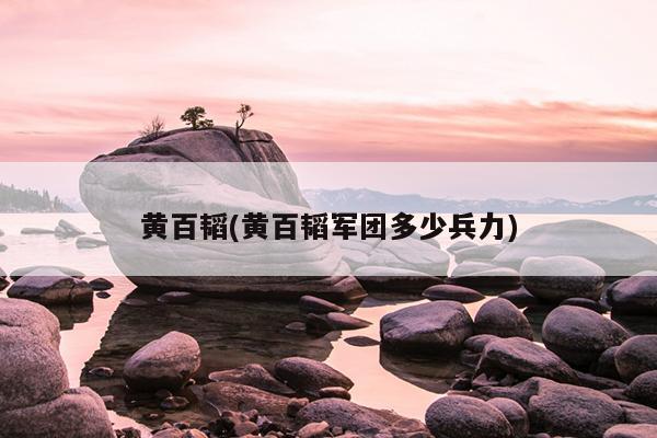 黄百韬(黄百韬军团多少兵力)