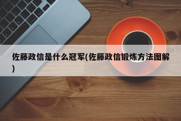 佐藤政信是什么冠军(佐藤政信锻炼方法图解)