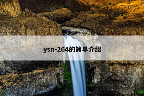 ysn-264的简单介绍