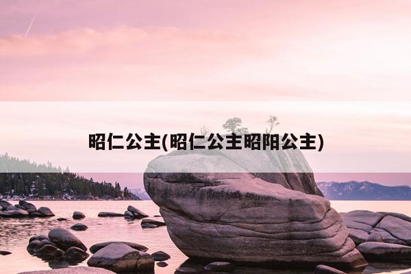 昭仁公主(昭仁公主昭阳公主)