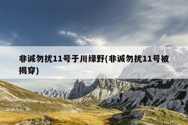 非诚勿扰11号于川绿野(非诚勿扰11号被揭穿)