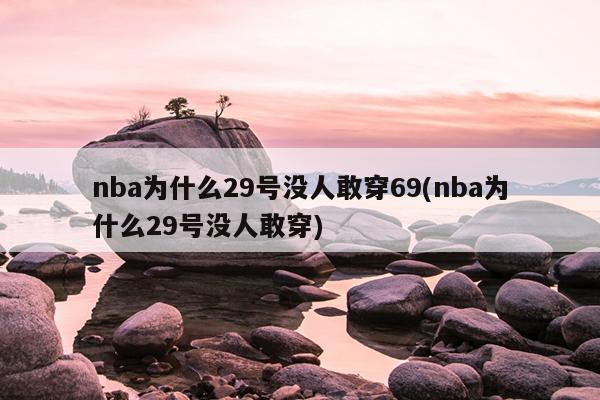 nba为什么29号没人敢穿69(nba为什么29号没人敢穿)