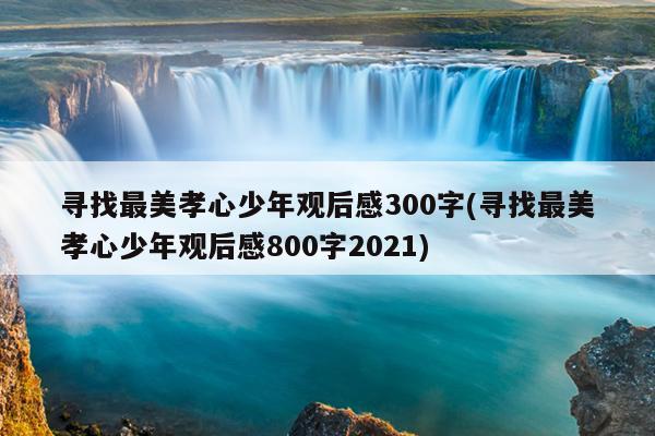 寻找最美孝心少年观后感300字(寻找最美孝心少年观后感800字2021)