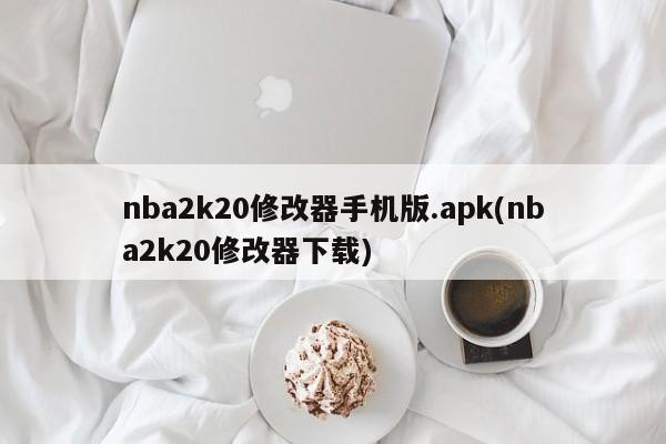 nba2k20修改器手机版.apk(nba2k20修改器下载)