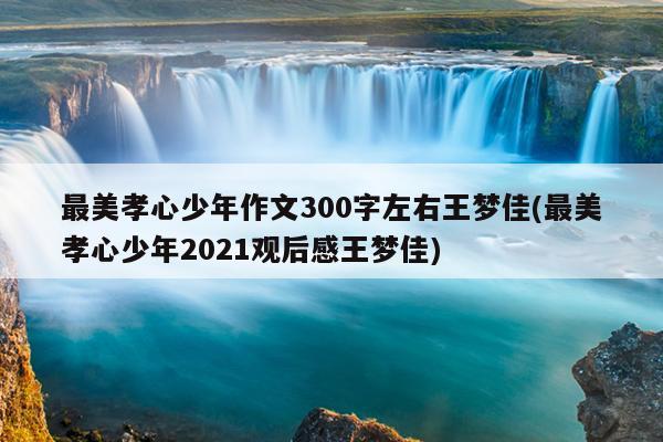 最美孝心少年作文300字左右王梦佳(最美孝心少年2021观后感王梦佳)