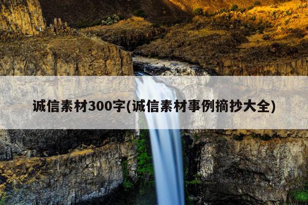 诚信素材300字(诚信素材事例摘抄大全)