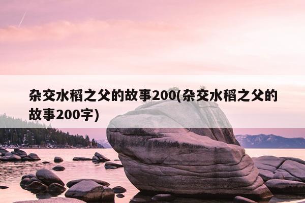 杂交水稻之父的故事200(杂交水稻之父的故事200字)