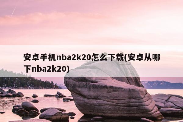 安卓手机nba2k20怎么下载(安卓从哪下nba2k20)