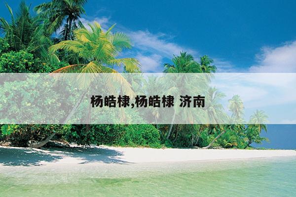 杨皓棣,杨皓棣 济南