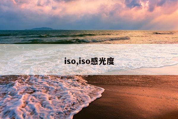 iso,iso感光度