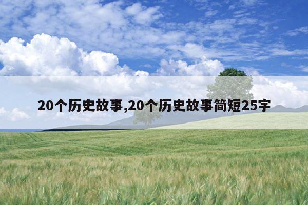 20个历史故事,20个历史故事简短25字