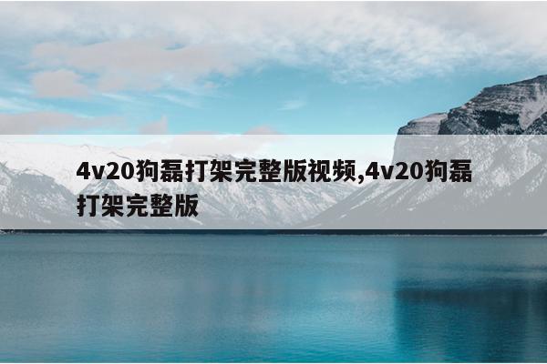 4v20狗磊打架完整版视频,4v20狗磊打架完整版