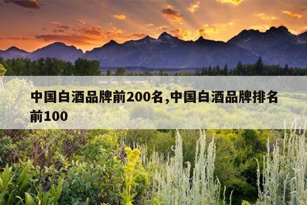 中国白酒品牌前200名,中国白酒品牌排名前100