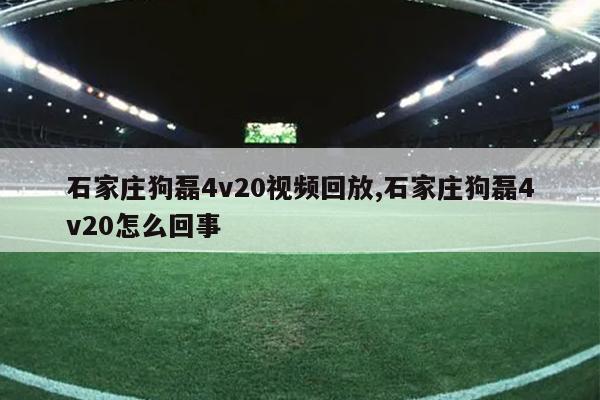 石家庄狗磊4v20视频回放,石家庄狗磊4v20怎么回事