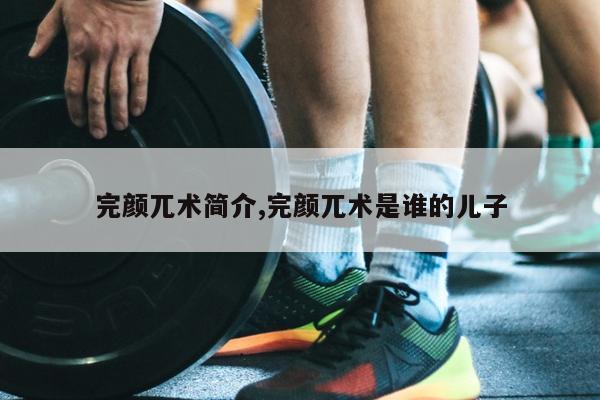 完颜兀术简介,完颜兀术是谁的儿子