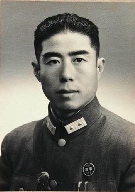 王凌云简介