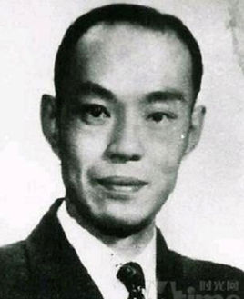 文彬彬简介