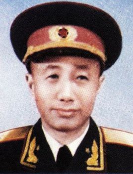 宫乃泉简介